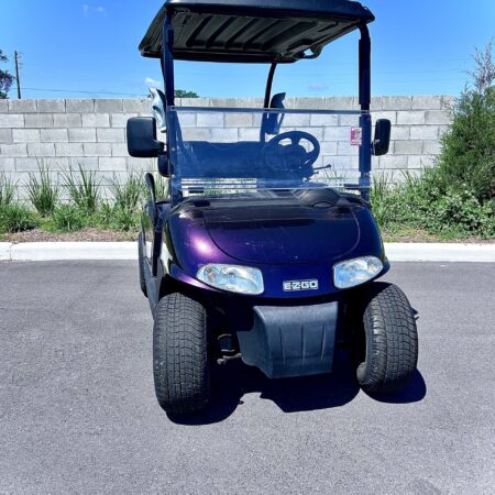 EZGO 2006 RXV Elite Purple / Bronze Shifting