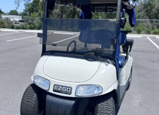 2008 EZGO RXV ELITE WHITE